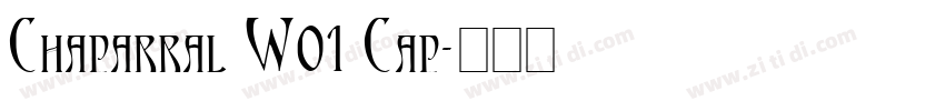 Chaparral W01 Cap字体转换